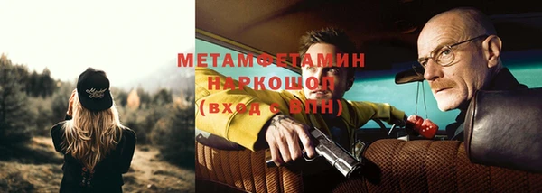 прущие грибы Верея