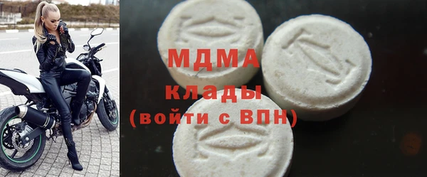 прущие грибы Верея