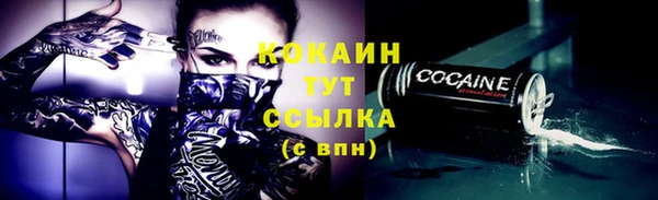 прущие грибы Верея