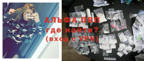 прущие грибы Верея