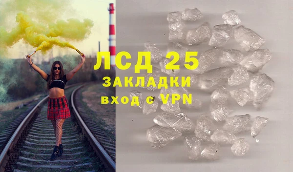 прущие грибы Верея