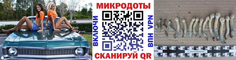 Псилоцибиновые грибы GOLDEN TEACHER Пестово